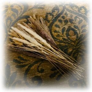 NIP | Large Neutral Bunch Mixed Varieties Pampas Grass Decor Boho Vase Filler